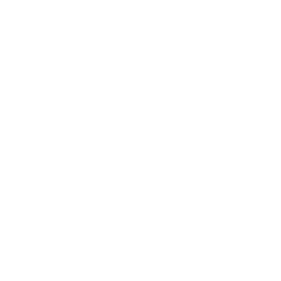 楽しさへのこだわり